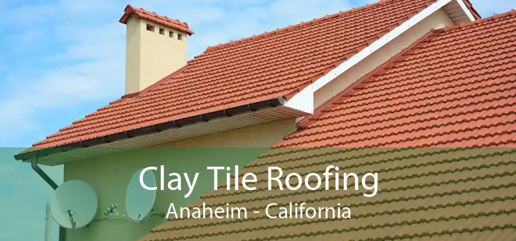 Clay Tile Roofing Anaheim - California