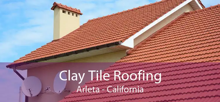 Clay Tile Roofing Arleta - California