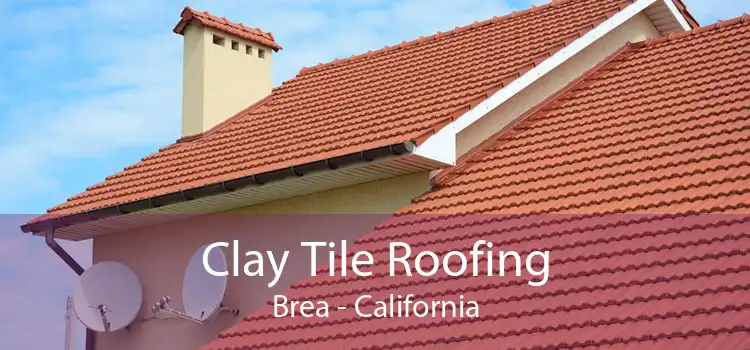 Clay Tile Roofing Brea - California