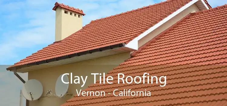 Clay Tile Roofing Vernon - California