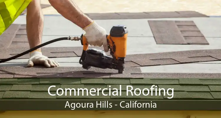 Commercial Roofing Agoura Hills - California