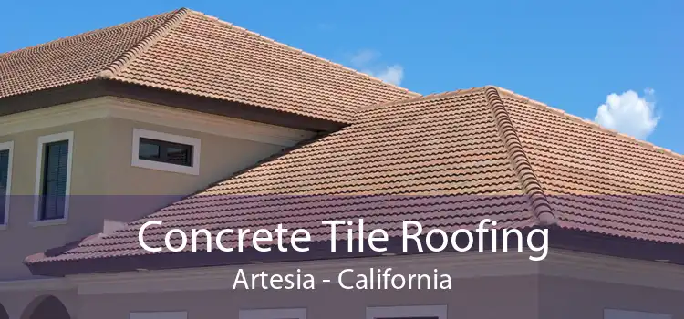 Concrete Tile Roofing Artesia - California