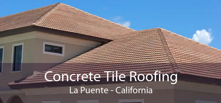 Concrete Tile Roofing La Puente - California