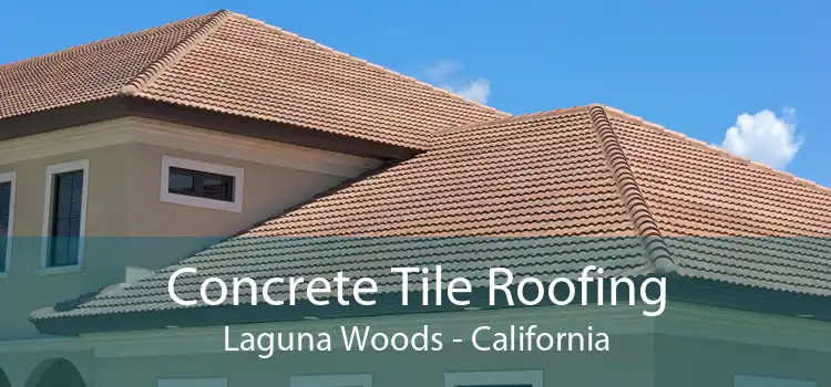 Concrete Tile Roofing Laguna Woods - California