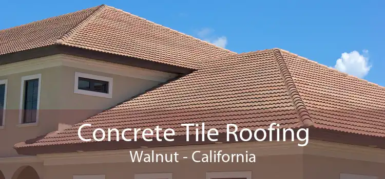 Concrete Tile Roofing Walnut - California