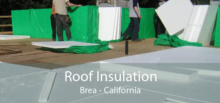 Roof Insulation Brea - California