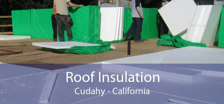 Roof Insulation Cudahy - California