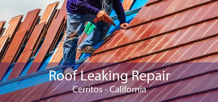 Roof Leaking Repair Cerritos - California