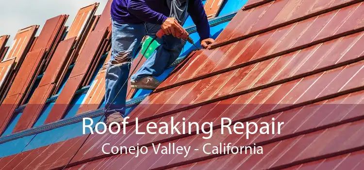 Roof Leaking Repair Conejo Valley - California