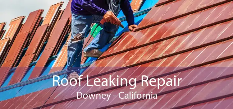 Roof Leaking Repair Downey - California