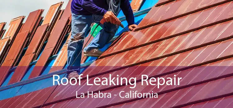 Roof Leaking Repair La Habra - California