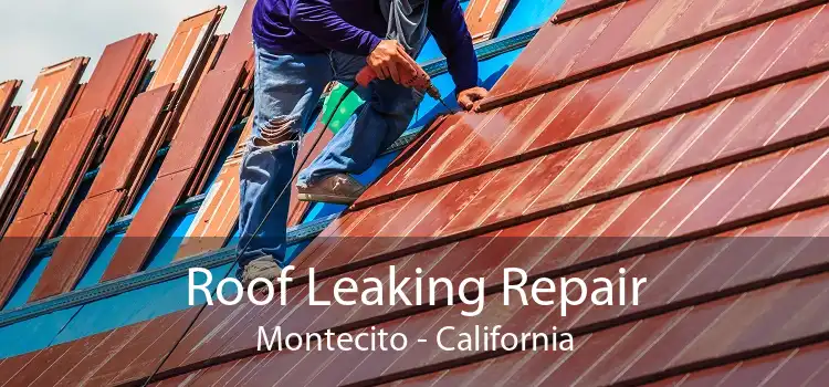 Roof Leaking Repair Montecito - California