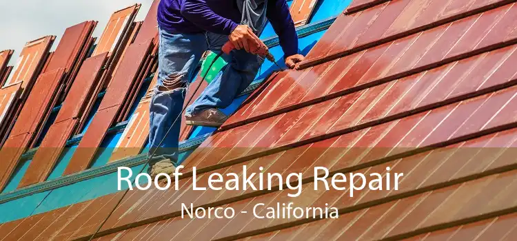 Roof Leaking Repair Norco - California