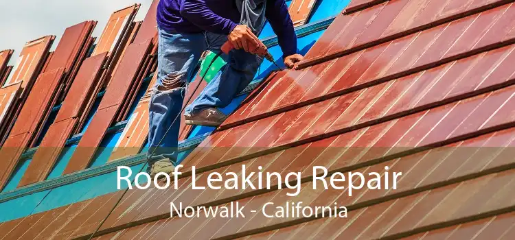 Roof Leaking Repair Norwalk - California