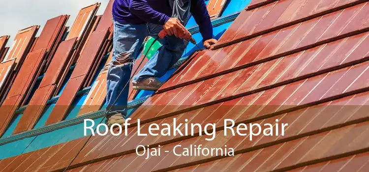 Roof Leaking Repair Ojai - California