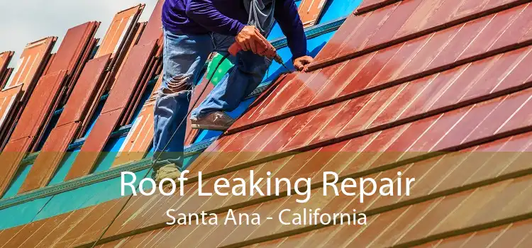 Roof Leaking Repair Santa Ana - California