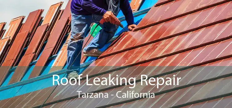 Roof Leaking Repair Tarzana - California