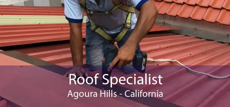 Roof Specialist Agoura Hills - California