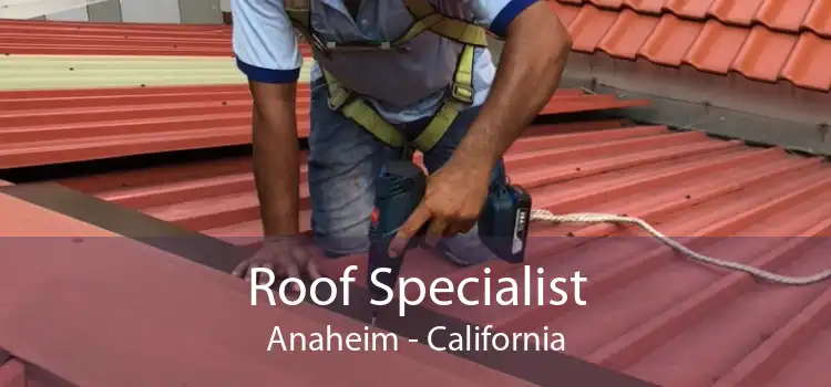 Roof Specialist Anaheim - California