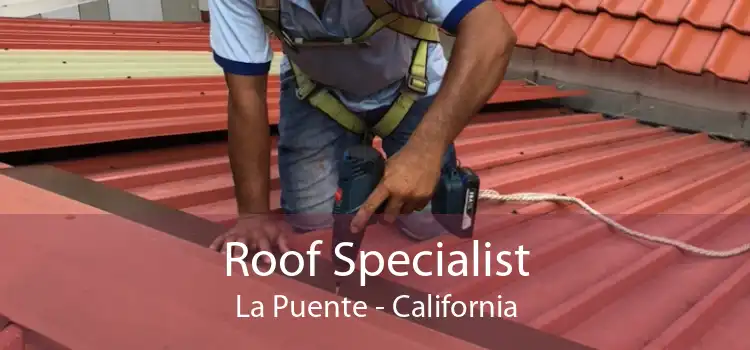 Roof Specialist La Puente - California