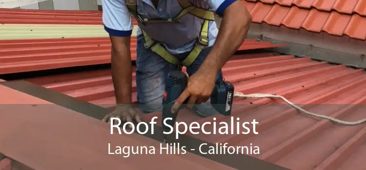 Roof Specialist Laguna Hills - California