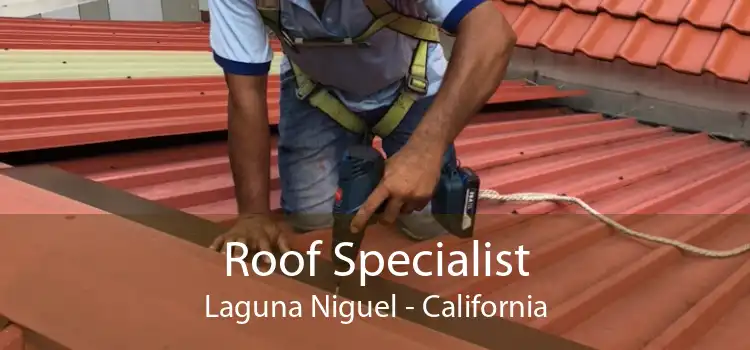 Roof Specialist Laguna Niguel - California