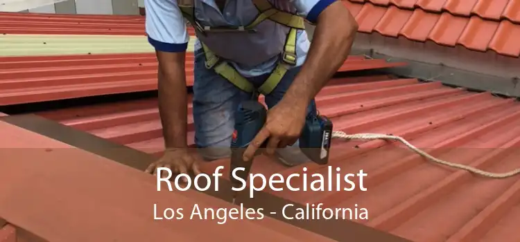 Roof Specialist Los Angeles - California