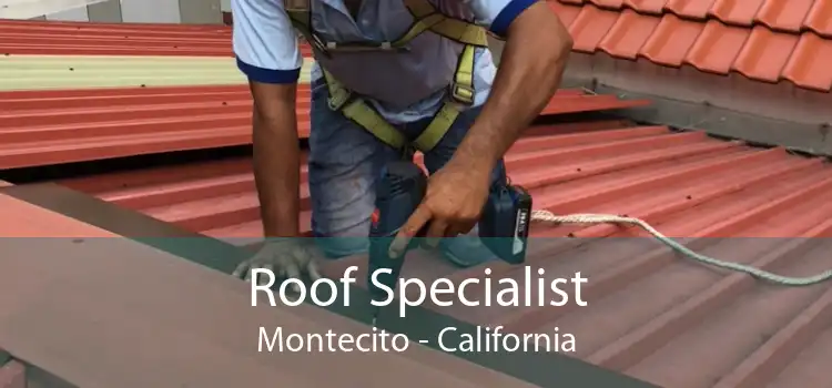 Roof Specialist Montecito - California