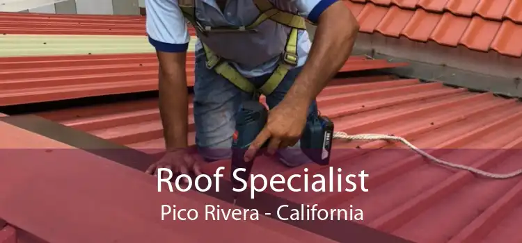 Roof Specialist Pico Rivera - California