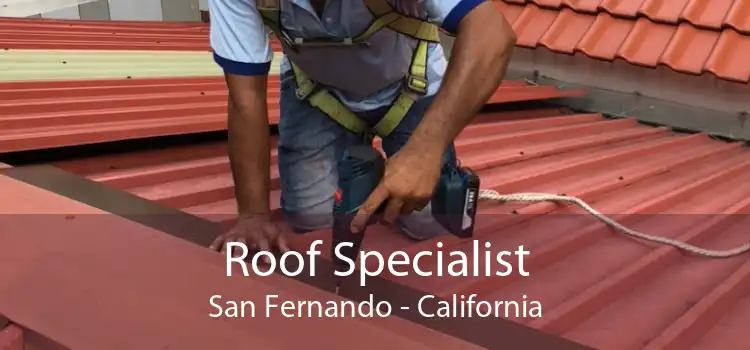 Roof Specialist San Fernando - California