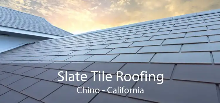 Slate Tile Roofing Chino - California