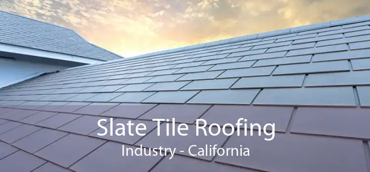 Slate Tile Roofing Industry - California