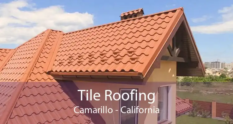 Tile Roofing Camarillo - California