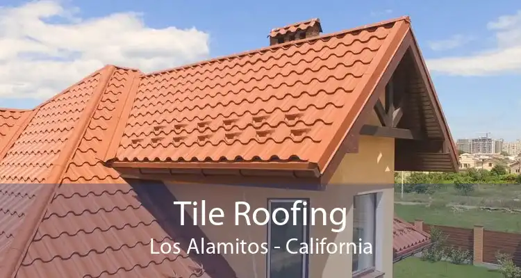 Tile Roofing Los Alamitos - California