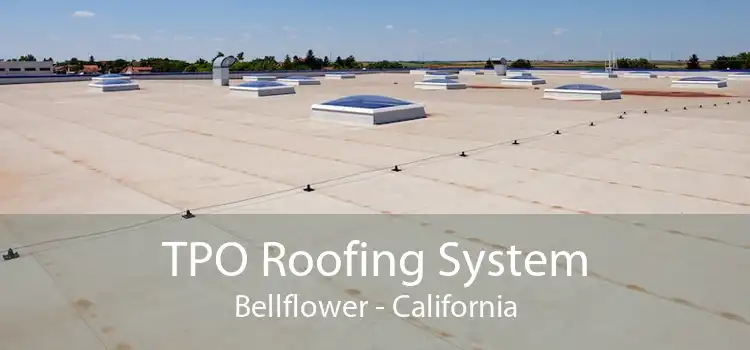 TPO Roofing System Bellflower - California