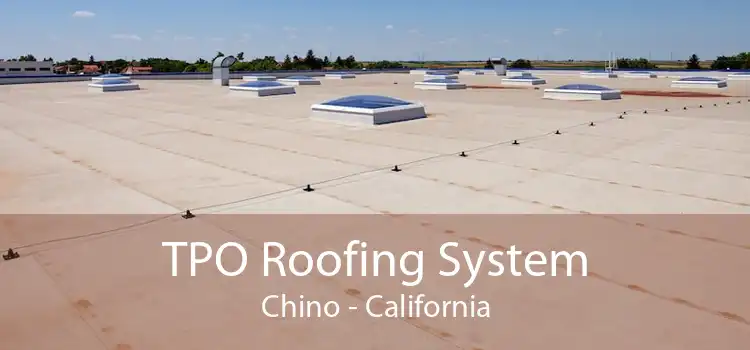 TPO Roofing System Chino - California