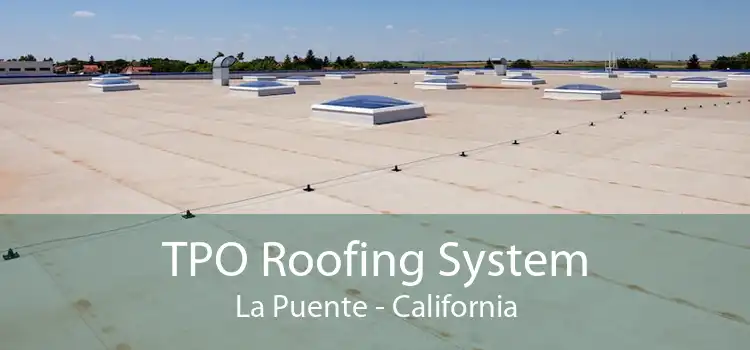 TPO Roofing System La Puente - California