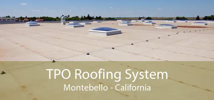 TPO Roofing System Montebello - California