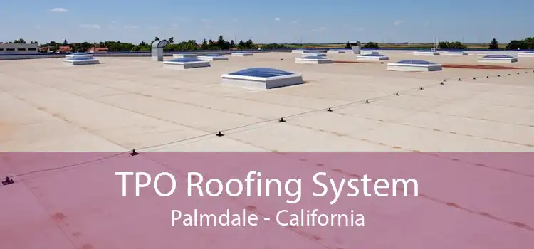 TPO Roofing System Palmdale - California