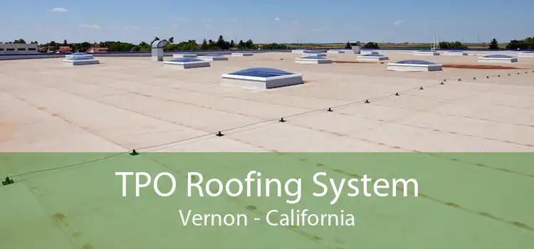 TPO Roofing System Vernon - California