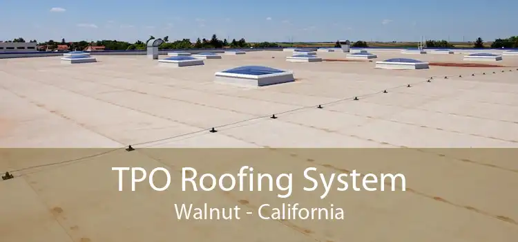 TPO Roofing System Walnut - California